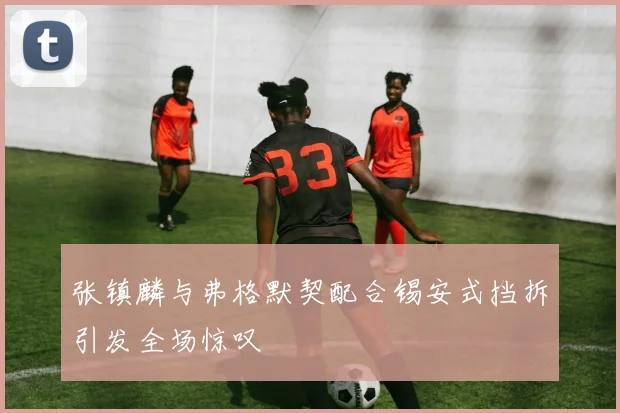 张镇麟与弗格默契配合锡安式挡拆引发全场惊叹
