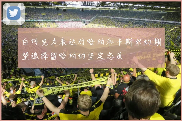 白巧克力表达对哈珀和卡斯尔的期望选择留哈珀的坚定态度