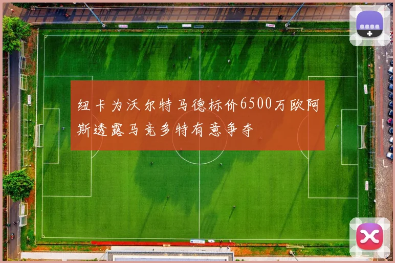 纽卡为沃尔特马德标价6500万欧阿斯透露马竞多特有意争夺